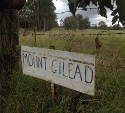 On public exhibition: Mt Gilead’s entrance along Appin Road.