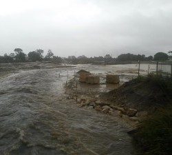 During April’s recent storms the Amalfi Park detention basin safeguarded properties against potential flooding in Lurnea, Casula and Liverpool.