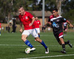 Sydney United are at home to the Leichhardt Tigers this Sunday afternoon.