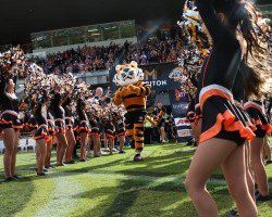 More than 13,000 fans attended the match at Leichhardt Oval on a sunny Sunday afternoon. Pictures courtesy of Wests Tigers.