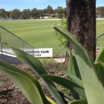 Raby Oval offered a good batting pitch so Manly batted first when they won the toss on Saturday.
