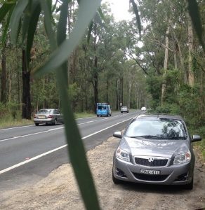 Cr Moroney wants Appin Road upgrade to provide for wildlife over and underpasses.