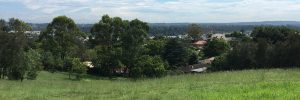Campbelltown from Centenary Park: how will it look in 20 years?