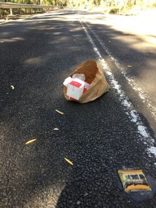 A bag containing leftover fast food from a well known chain dropped into the middle of Peter Meadows Road, Kentlyn today.