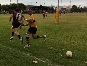 Campbelltown score almost under the posts to grab the lead over Camden.