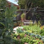 Just don’t know anyone who would kill for veggies 2017-10-17-12.34.13-2