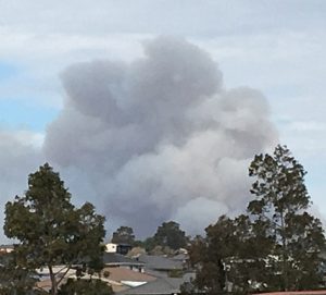 The smoke is from a fire burning on the eastern side of the Georges River, near Airds and Kentlyn, says the Rural Fire Service.