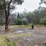 What if it never rains again and other silly claims 2020-01-17-09.51.18