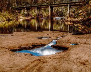 Silvia Grimm's Reflections on Water