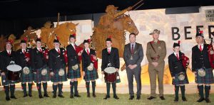 last night's unveiling of the monument to the Light Horse regiments