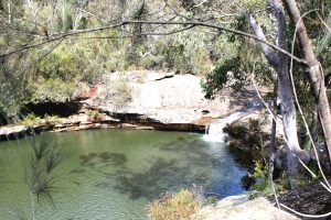 The stunning Dharawal National Park is located in Campbelltown's backyard.