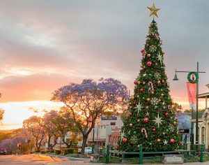 Christmas tree lighting ceremony will take place as part of the Camden Jacaranda Festival celebrations on Saturday, November 24.