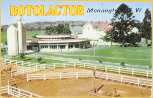 A 1950s postcard of the Rotolactor dairy at Menangle.