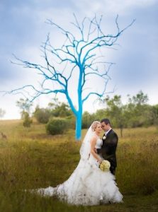 Open day for brides and grooms this Saturday at the Australian Botanic Garden Mt Annan.