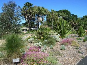 Mt Annan Botanic Garden