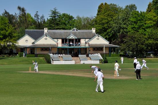 Young opener's century gives Ghosts something to cheer about