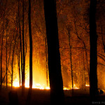 Bushfires are unfortunately part of summer in Australia