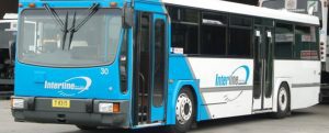 Interline Bus Services has agreed to reinstate the bus services along Pendergast Avenue and Elizabeth McRae Avenue, Minto. 