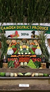 Camden Council is developing a strategy to protect agricultural land in the future.