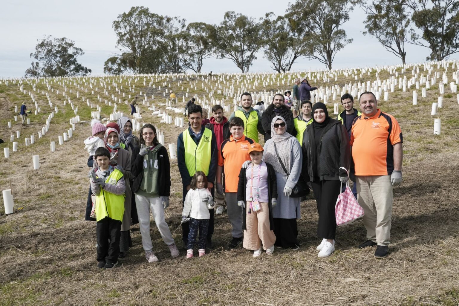 Mighty effort from Camden residents 1000 trees planted in a day