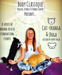 Cat yoga to raise funds for animal rescue groups.