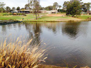 Number one: Campbelltown Golf Course at Glen Alpine.