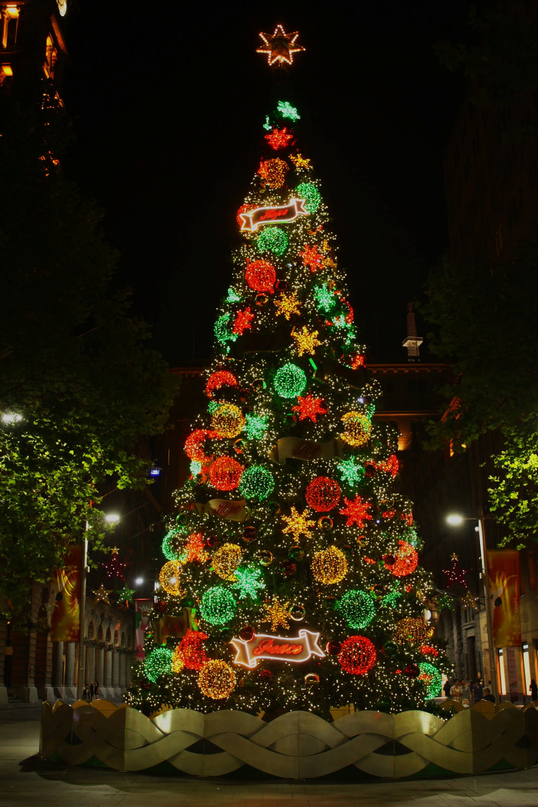 Mayor to light up giant Christmas tree in Campbelltown
