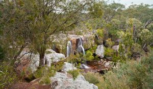This year's guided tours of Dharawal national park 