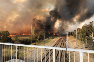 Bush fires in Moorebank earlier this year.