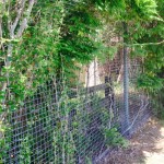 Blink and you will miss it: Fisher's Ghost Restaurant or Milby Cottage