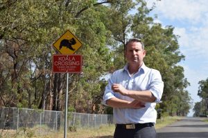 MP Greg Warren says new state strategy offers nothing to our disease free koala colony.