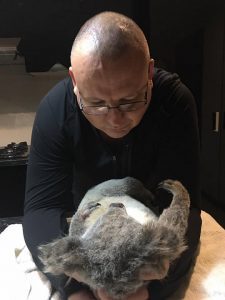 Ricardo Lonza with the koala killed on Appin Road 