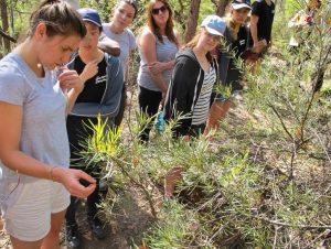 Landcare retreat 