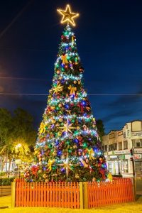 The tree lighting ceremony and celebrations will be held on Thursday, December 8.