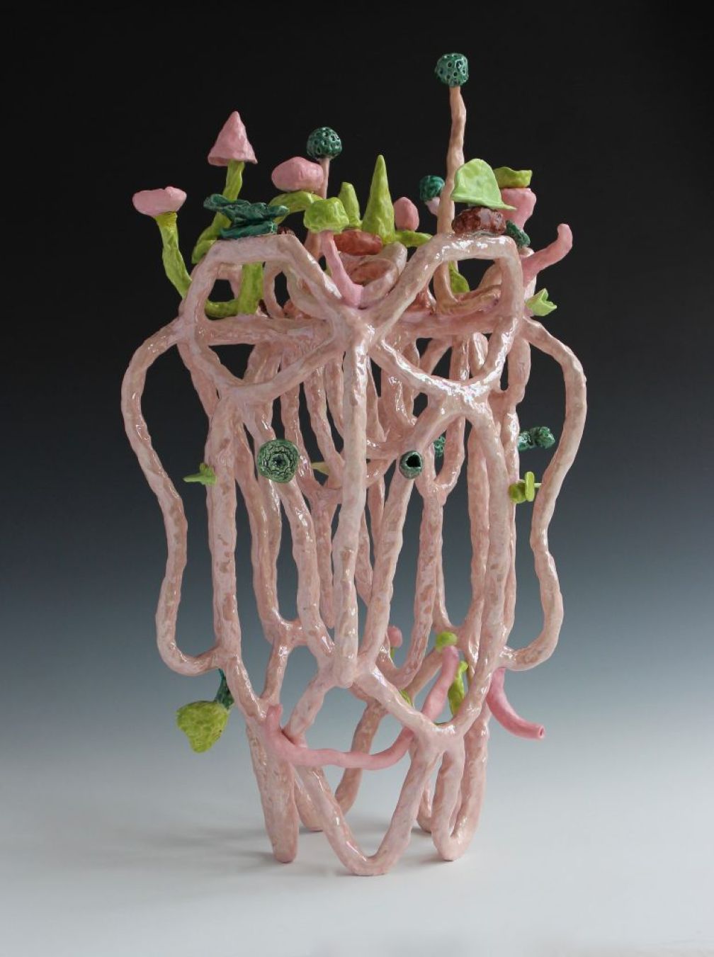 Innovative ceramic artist focus of new exhibition