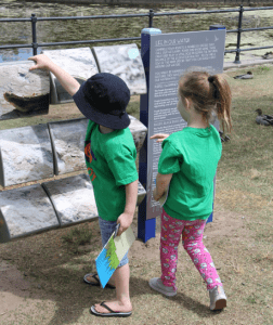 young locals check out the wildlife tile game at Marsden Park.