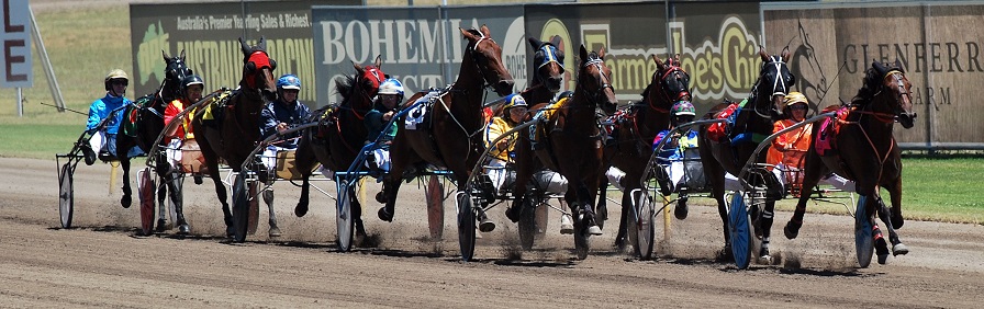 All roads lead to Tabcorp Menangle for the 2014 Miracle Mile