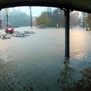Debra Bentley posted this photo on Facebook. It's taken from inside the water logged local icon, the King George the IV hotel.