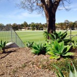 Raby Oval is ready to host the cricket competition of the 2014 Australian University Games.