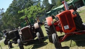 The museum field days are a great outing in a lovely part of Macarthur not far from Campbelltown.