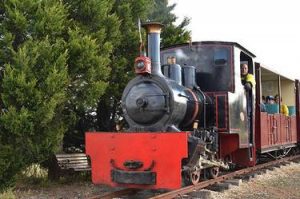 Campbelltown Steam and Machinery Museum Field Days on May 20 and 21 will feature free steam train and wagon rides. 