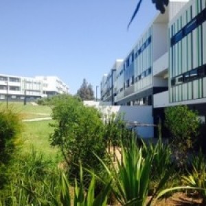 What ghetto are you talking about?