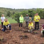 watertreeplantdaywollifeb2021