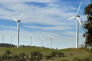 NSW government plan to be carbon neutral by 2050.